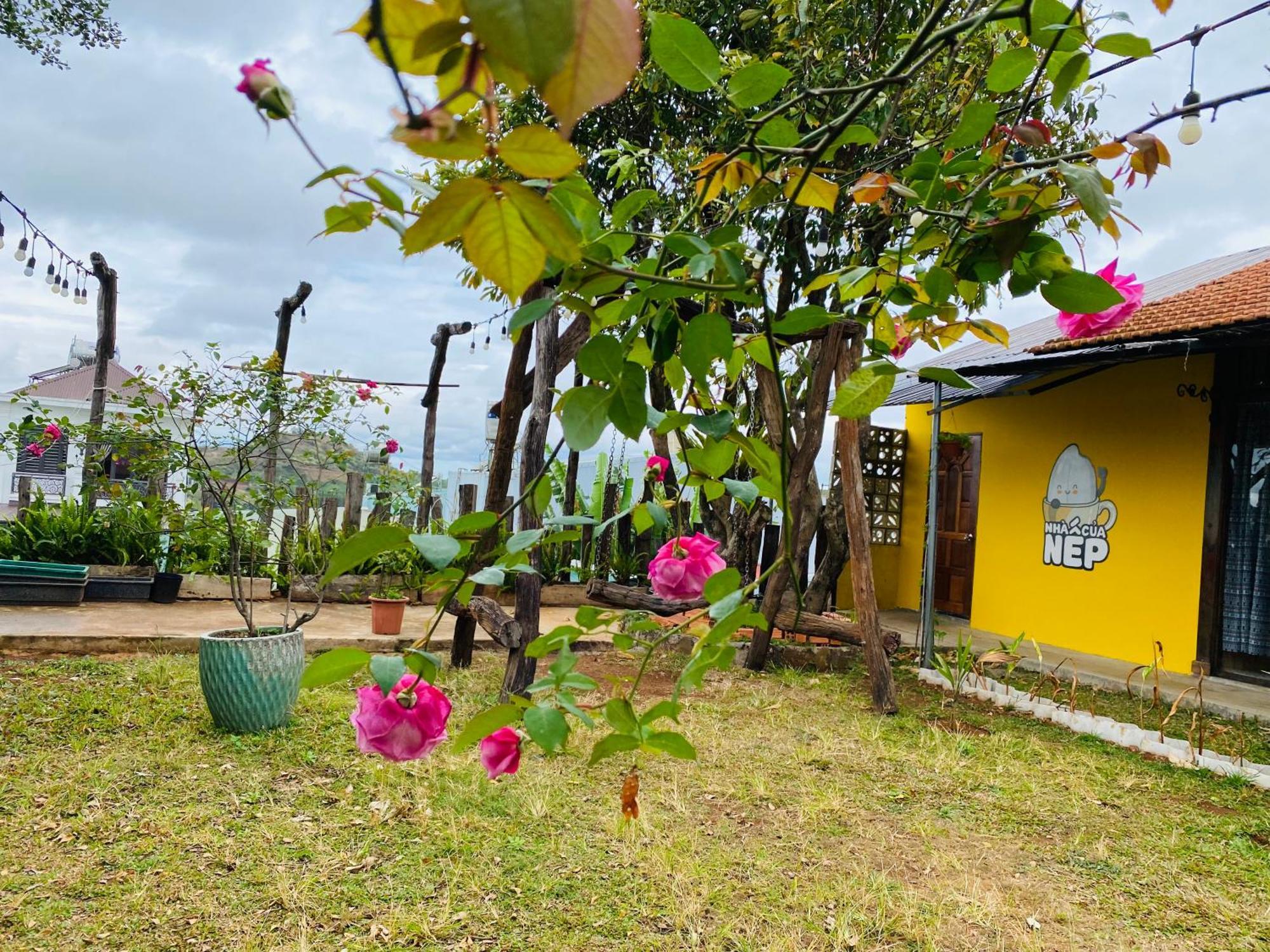 Nha Cua Nep Villa Plei Brel ภายนอก รูปภาพ